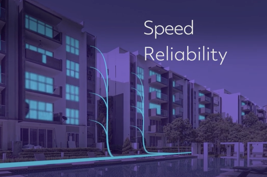 WHAT IS QUANTUM FIBER INSTANT INTERNET visual data 2